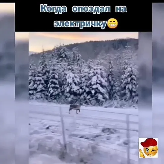 Бравый хлопец👍