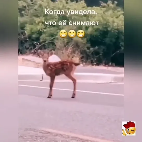 Супермодель🤩