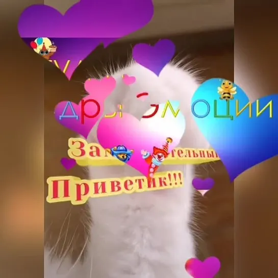 ЗаММурчательный привет😻