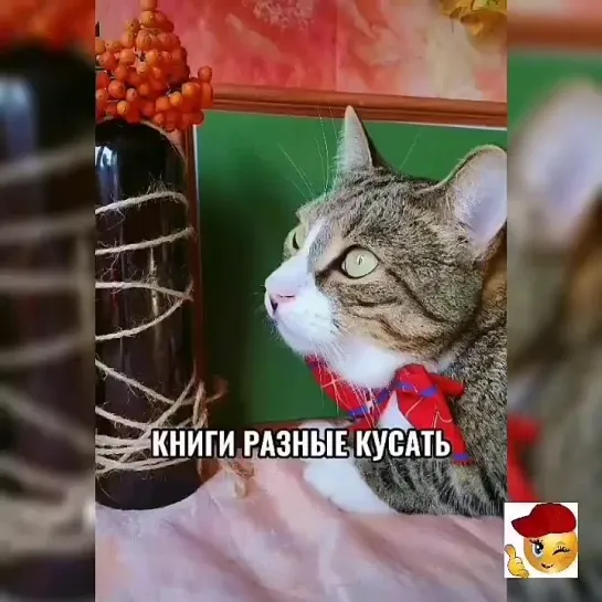 Будь на позитиве✨✨✨