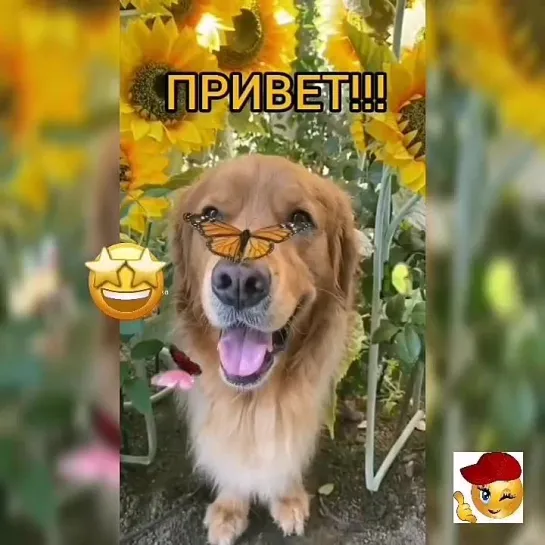 С наилучшими пожеланиями🤩