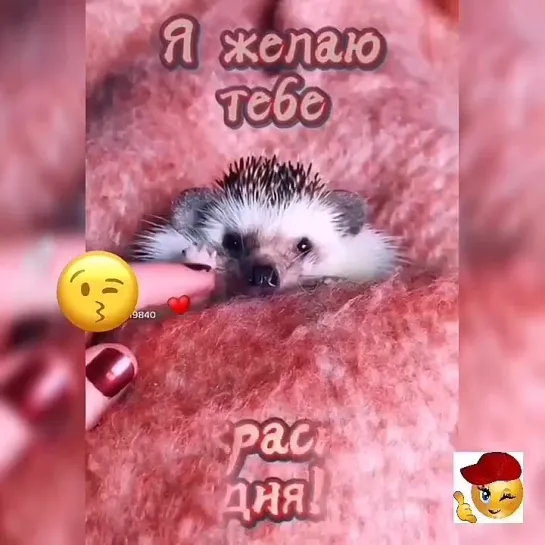 Отличного дня🥰