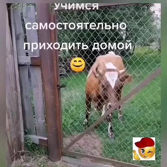 Рыбонька-Забава🥰❤️