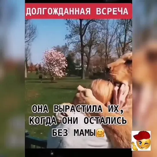 Долгожданная встреча❤️