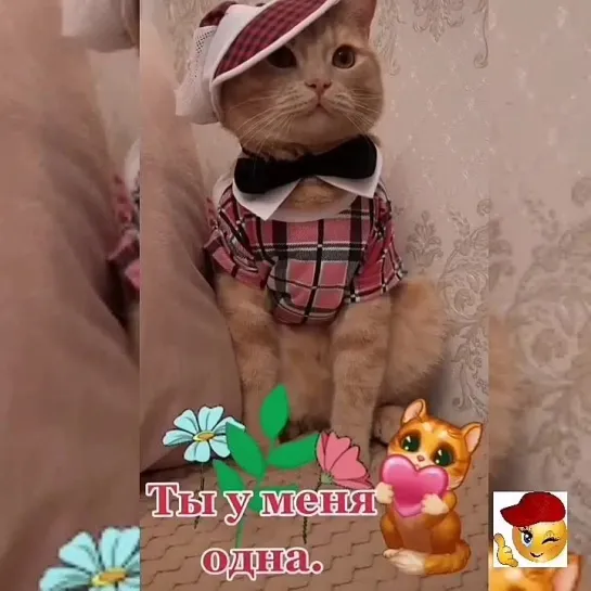 Ты у меня одна🥰