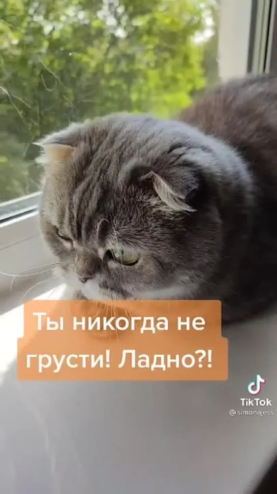 Не грусти, я с тобой🥰