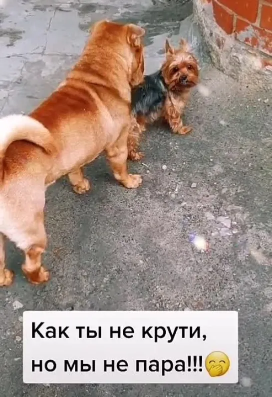 Будь на позитиве🤩