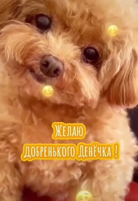 Добрейшего денёчка✨✨✨