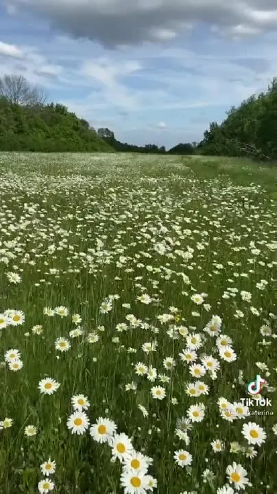 А на улице лето✨✨✨