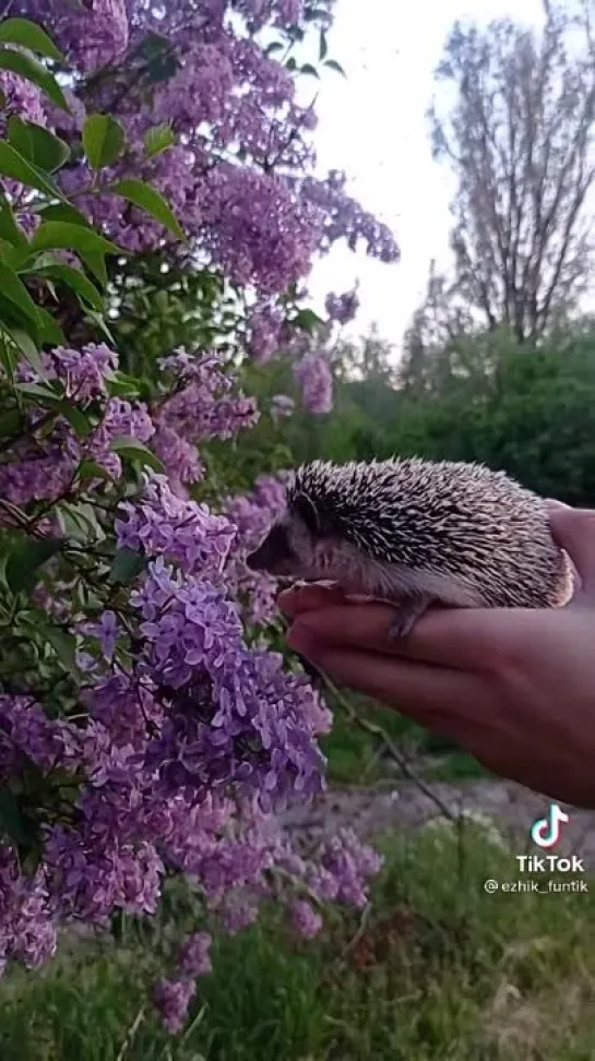 Замечательного дня✨✨✨