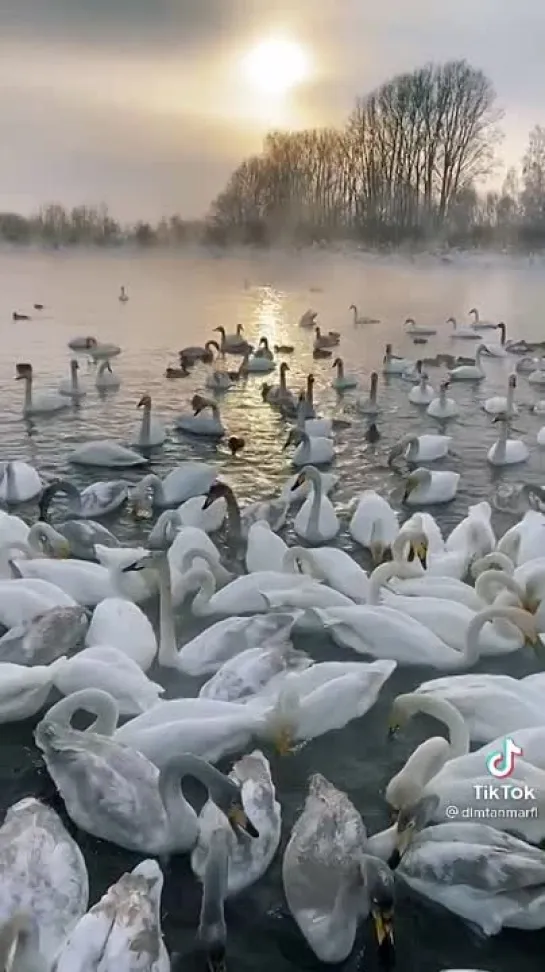 Как прекрасен этот мир✨✨✨