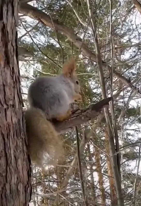 Как прекрасен этот мир🤩