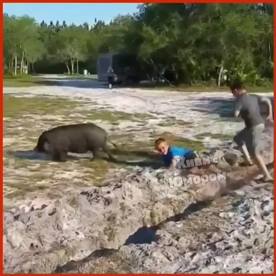 Видео от Живи с Юморомツ