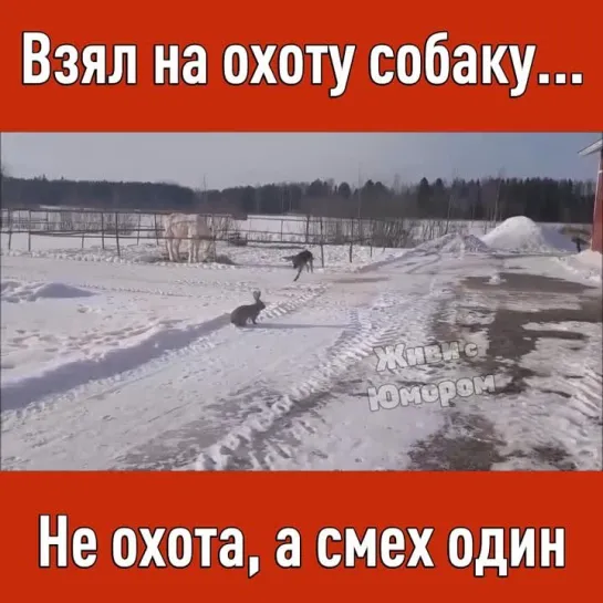 Видео от Живи с Юморомツ