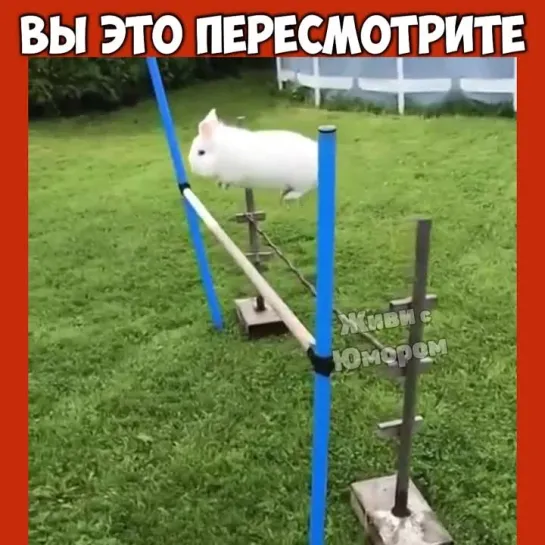 Видео от Живи с Юморомツ