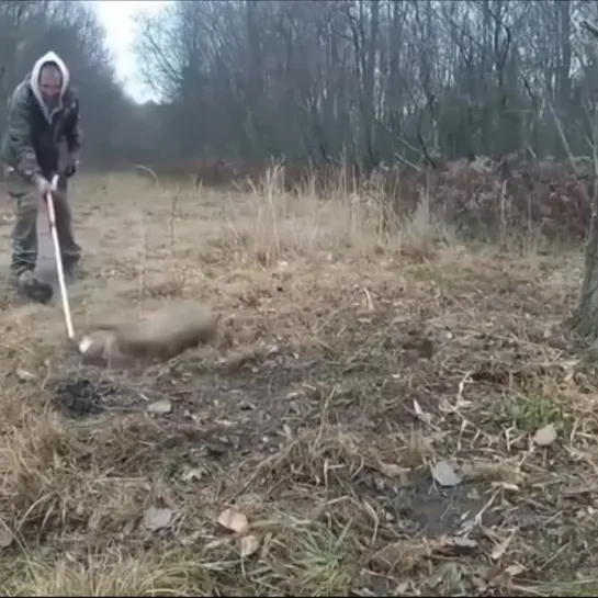 Видео от Живи с Юморомツ