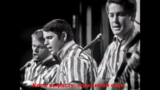 The Beach Boys "When I Grow Up (To Be A Man)"