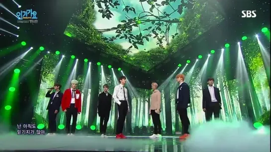 `PERF` 151206 | Bangtan - Butterfly @ SBS Inkigayo