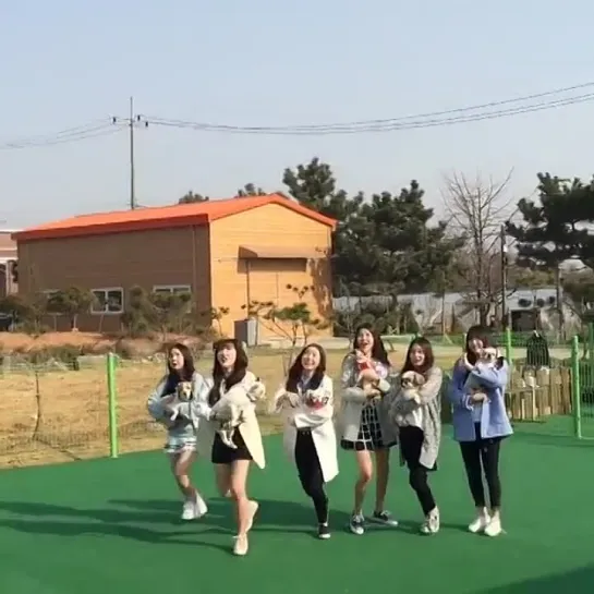 150319 GFRIEND Instagram Update