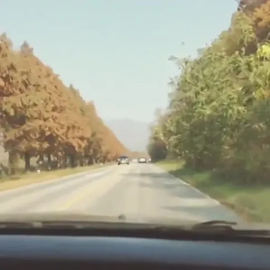 09.11.14 Instagram saico0111 (Jaejin) - Autumn leaves