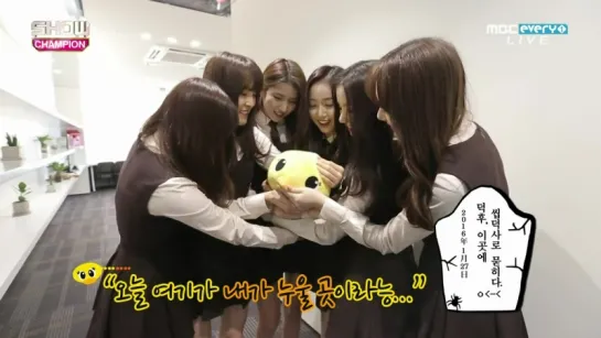 160127 GFriend - Interview @ Show Champion