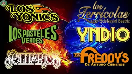 40 RECUERDOS DEL AYER GRANDES EXITOS - FREDDYS, YONICS, TERRICOLAS , INDIO, PASTELES VERDES