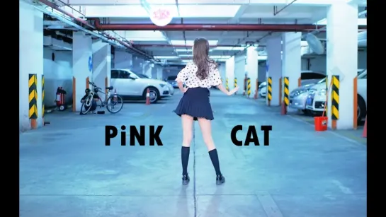 【静静】PiNK CAT ♥ 新人四投 ♥ 地下车库 ☑ 开车 ☑ 御姐 ☑ 专注 ☑_宅舞_舞蹈_bilibili_哔 av9183299