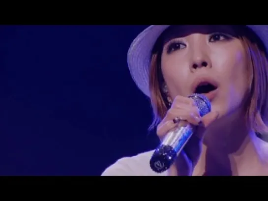 [BoA LIVE TOUR 2010 -IDENTITY-] Talk + my all + Ending