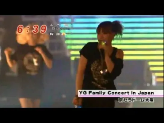 [ТВ] 2012 YG Family Concert on Mezamashi TV