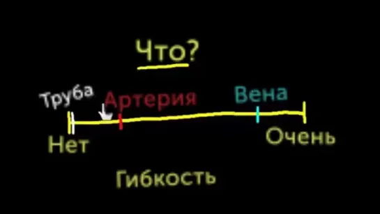 Патологии кровеносных сосудов. 1. Артериосклероз, артериолосклероз и атеросклероз