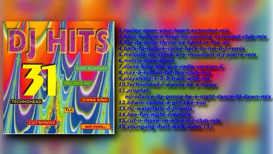 DJ Hits Vol.31 (1995)