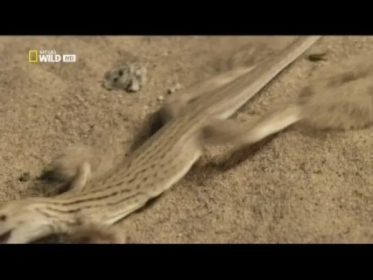 Дикий Запад. Ровно в полдень / National Geographic: The Wild West. High Noon