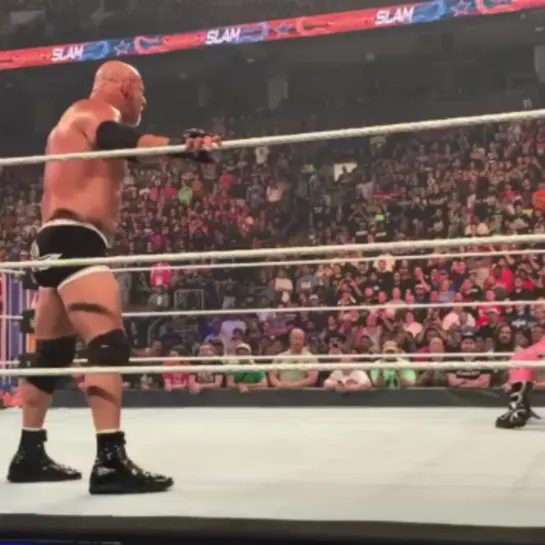 Goldberg the spear to Dolph Ziggler SummerSlam 2019.