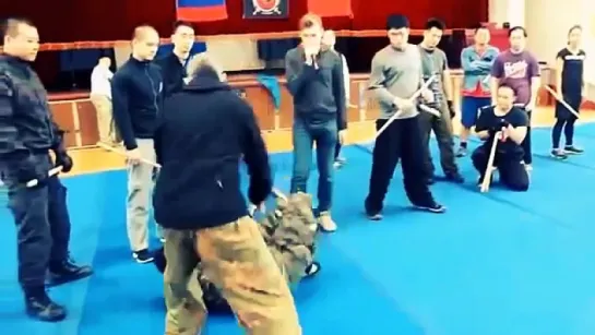 Systema Seminar by Denis Ryauzov in Taiwan 2014