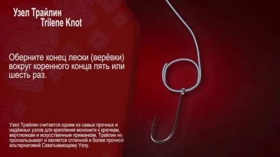 Узел Трайлин Trilene Knot