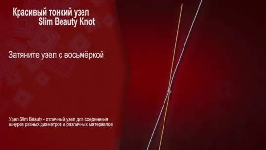 Красивый тонкий узел  Slim Beauty Knot