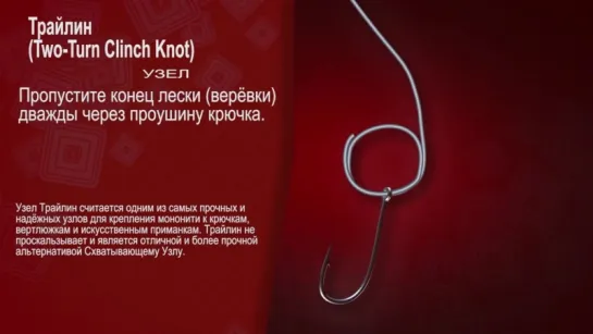 Узел Трайлин Two Turn Clinch Knot aka Trilene Knot