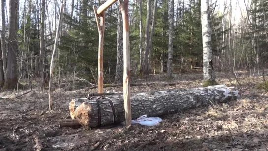 МАССИВНАЯ ЛОВУШКА How To Make A MASSIVE Deadfall Trap.