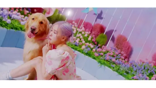 BLACKPINK - Ice Cream ft. Selena Gomez (480p)