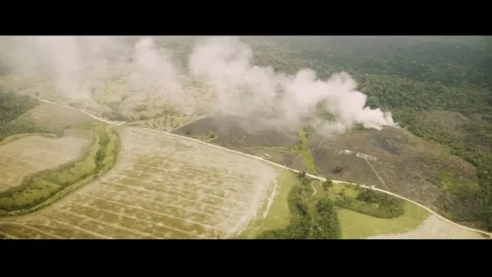 Canção pra Amazônia