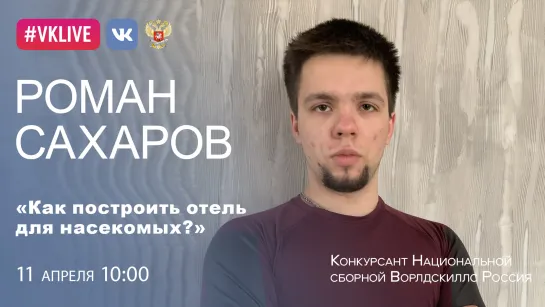 Как построить отель для насекомых?