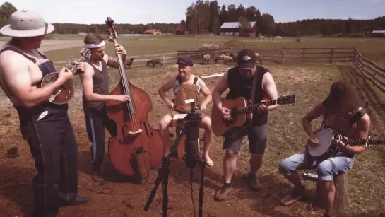 Steve'n'Seagulls — Gimme All Your Lovin' (live)