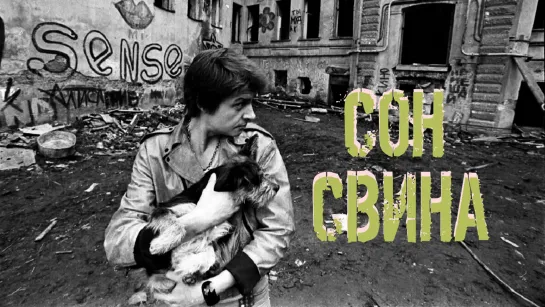 Сон Свина (2010)