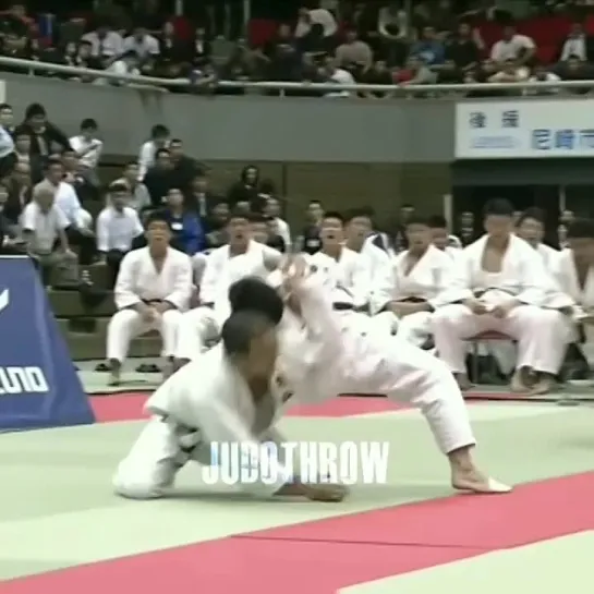 JUDO arm lock and takedownsn #bjf_judo