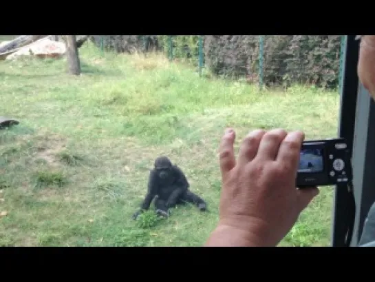 Budapest Zoo