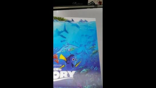 Finding Dory  Kimchidvd  1