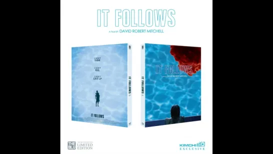 Lenticular Effect of B Type of It Follows Steelbook