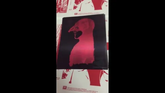 BIRDMAN E1 lenticular FAC 2015