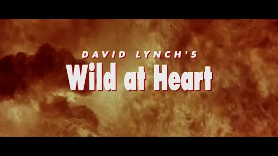 Wild At Heart ↑ Trailer