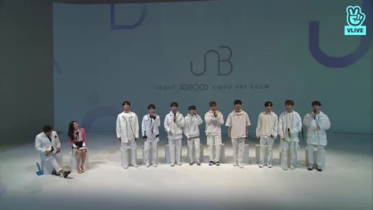 07.04.2018 UNB DEBUT [BOYHOOD] VIDEO ART SHOW